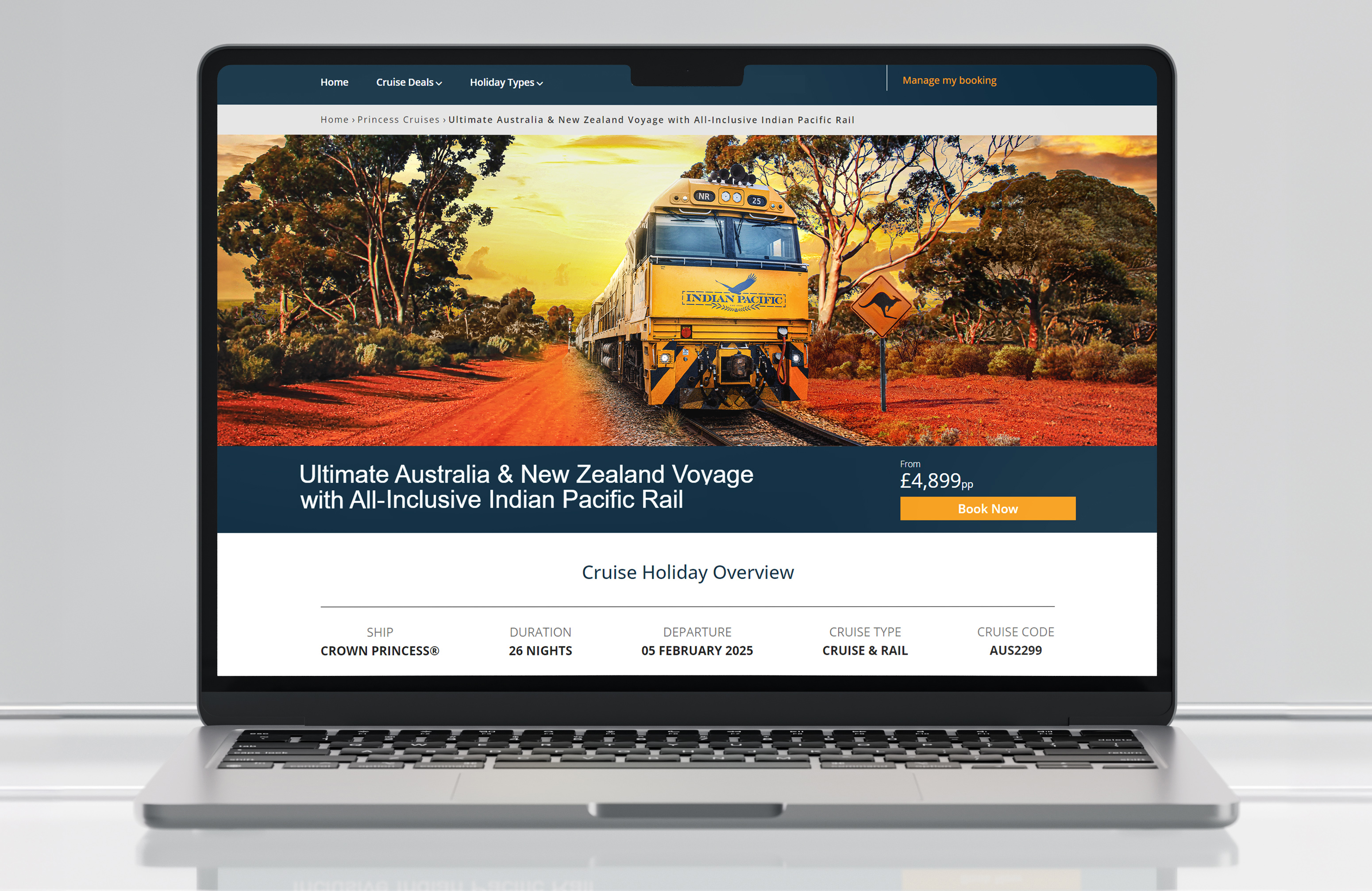 Imagine Cruising Website Mockup